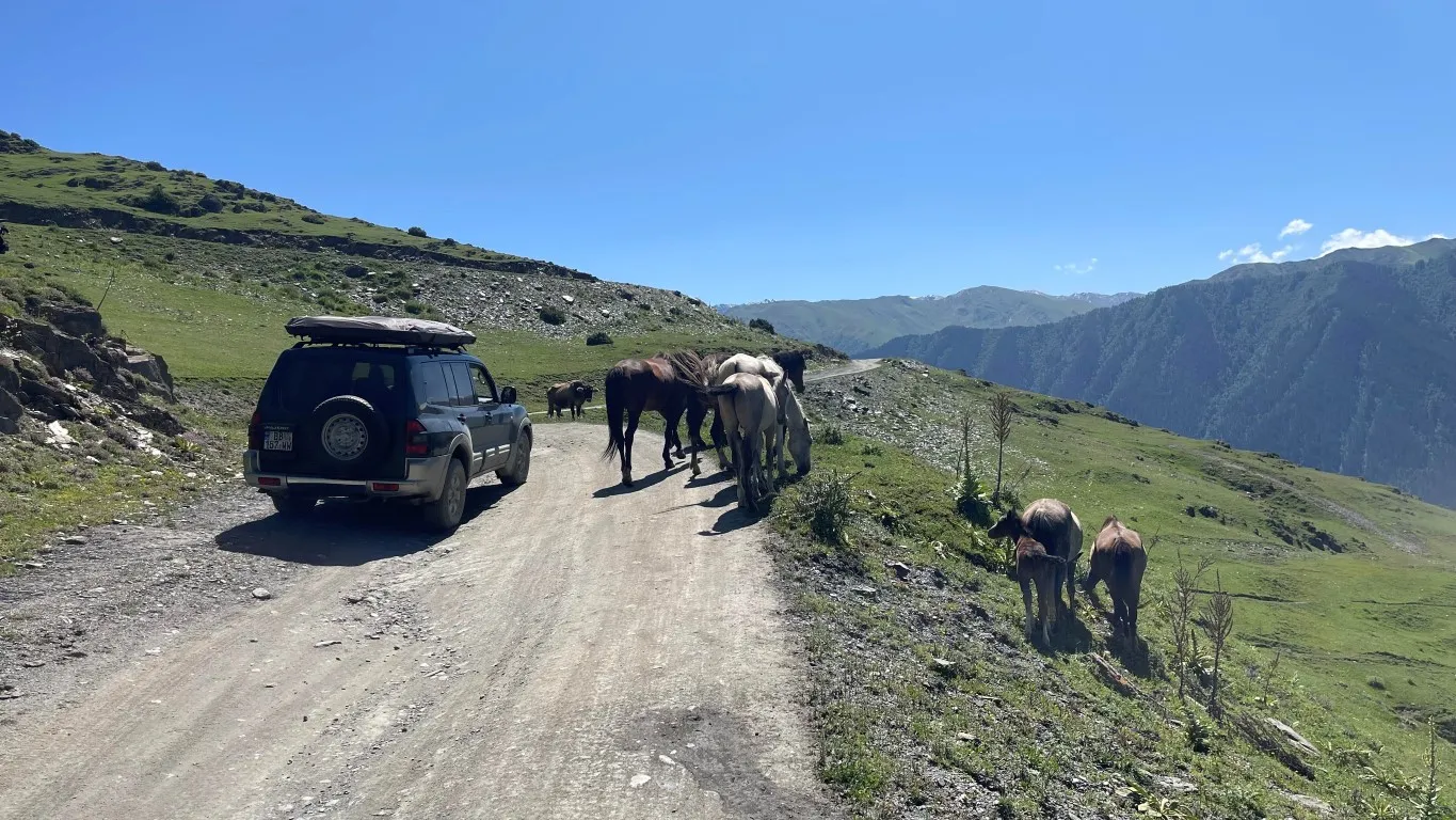 druk verkeer in Georgie